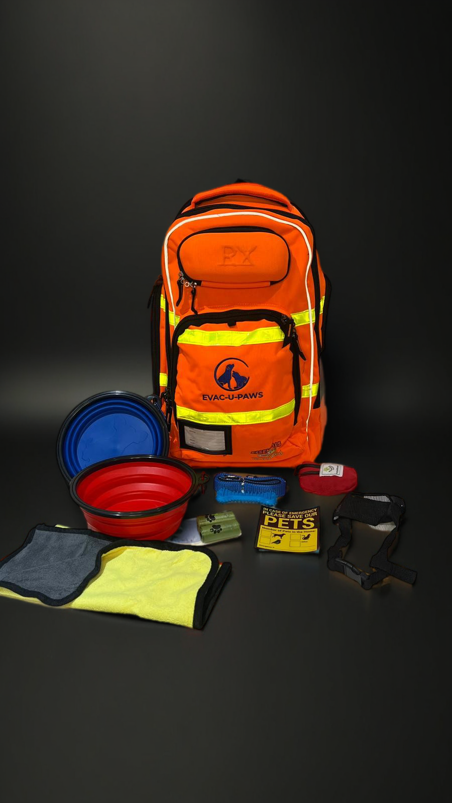 Insulated Pet Emergency Kit Bag